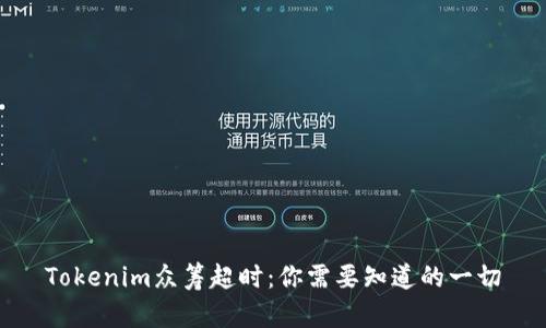 Tokenim众筹超时：你需要知道的一切