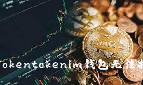 如何解决Tokentokenim钱包无法打开的问题