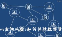 Tokenim查询风险：如何保障数字资产安全
