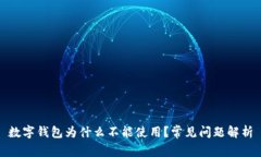 数字钱包为什么不能使用？常见问题解析