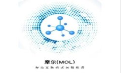 数字钱包试点方案与实践